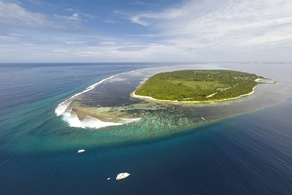 surf the maldives